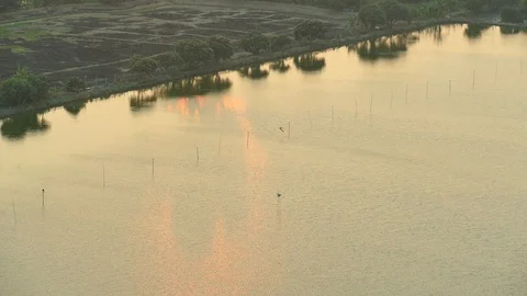 River flowing on evening twilight sunset. nature landscape Stock Footage 106819747