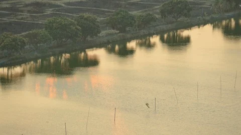River flowing on evening twilight sunset. nature landscape Stock Footage 106819846
