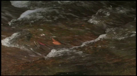 River flowing Stock Footage 201753