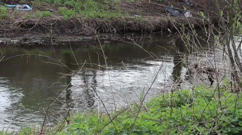 River flowing 库存影片 34617237