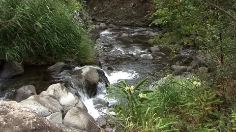 River flowing Video stock 44190632