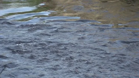 River flowing Stock Footage 84793940