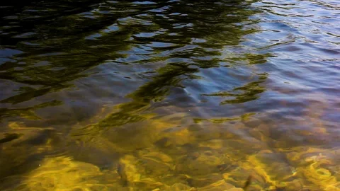 River flowing Video stock 98550083