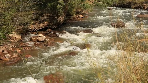 River Flowing Stock Footage 114262739