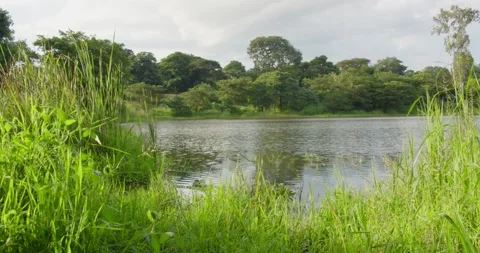 River flowing Stock Footage 191729146