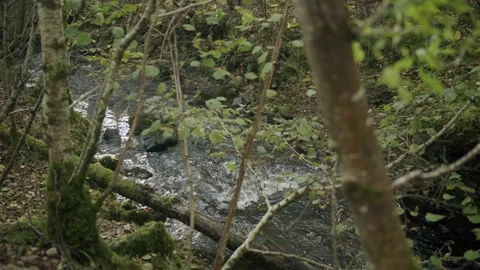 River flowing Stock Footage 203903508