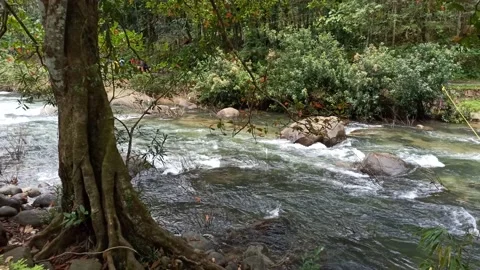 River flowing Stock Footage 204586536