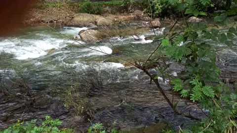 River flowing Stock Footage 204586938