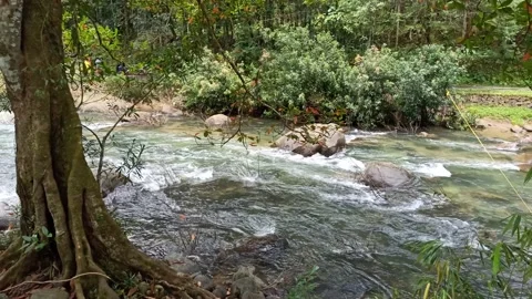 River flowing Stock Footage 204589328