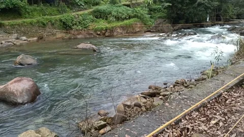 River flowing Stock Footage 204597737