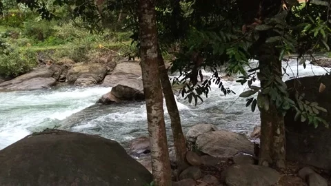 River flowing Stock Footage 204598402