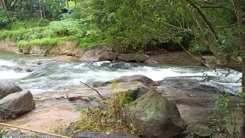 River flowing Stock Footage 204602904