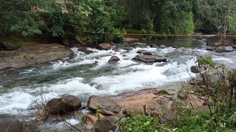 River flowing Stock Footage 204608350