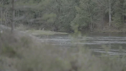 River Flowing 스톡 동영상 326217776