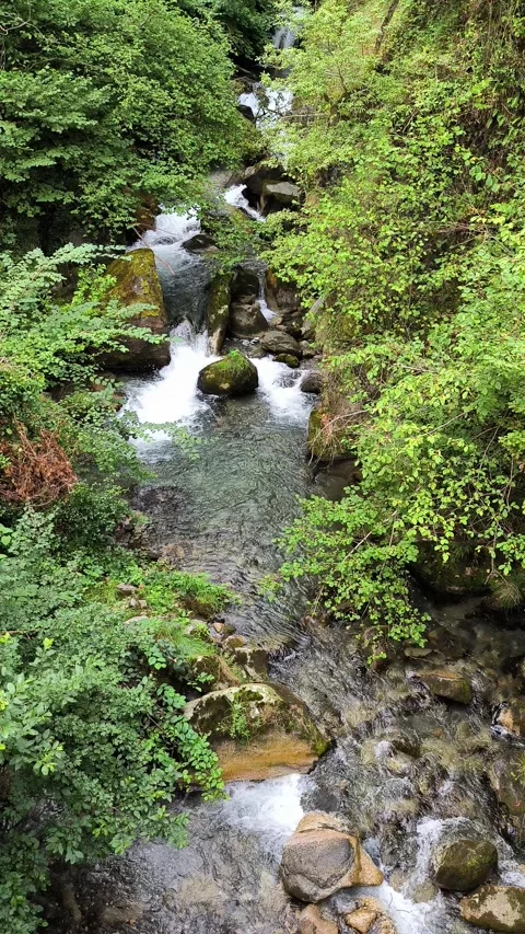 A river flowing Video stock 327809877