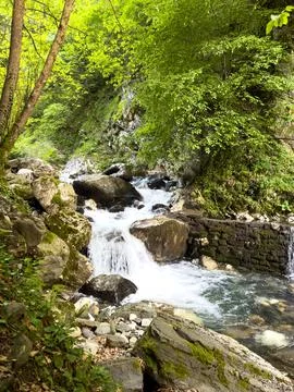 River flowing in the forest and large rocks, nature concept background Stock Photos