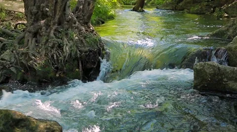 River Flowing in the Forest 스톡 동영상 46326293