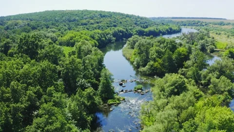 River flowing in forest Video stock 136809015