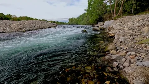 River flowing into the forest Stock Footage 208887662