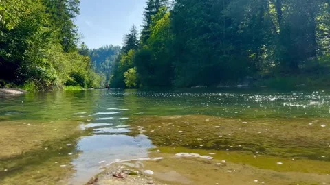 River flowing in the forest Stock Footage 248655774