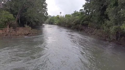 River flowing into the forest. Indian forest river. Stock Footage 232876307