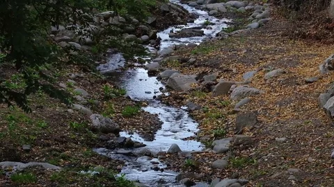 The river flowing in the forest, skirting the rocks Stock Footage 84076115