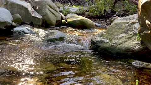 River flowing gently over rocks on a sunny day Stock Footage 170139715