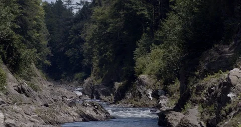 River flowing in a gorge through rocks and forest trees Stock Footage 121774968