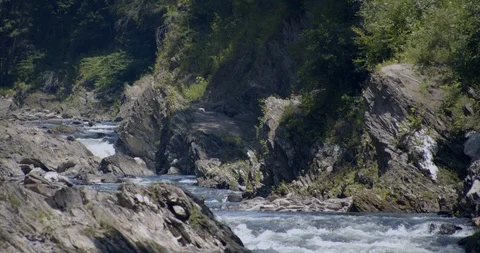 River flowing in a gorge through rocks and forest trees Stock Footage 121775400