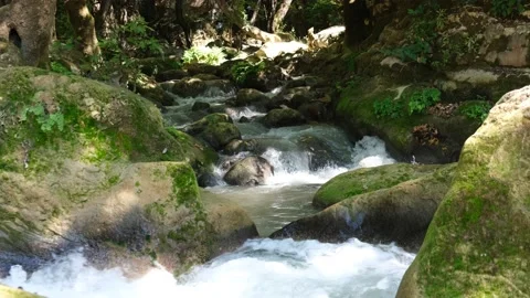 River flowing into green rocks Stock Footage 200705782