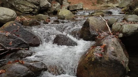 River flowing impetuous Stock Footage 56765616