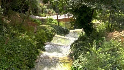 River flowing inside a forest Stock Footage 161076742