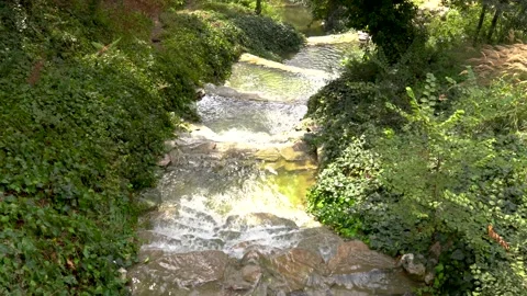 River flowing inside a forest Stock Footage 161076797