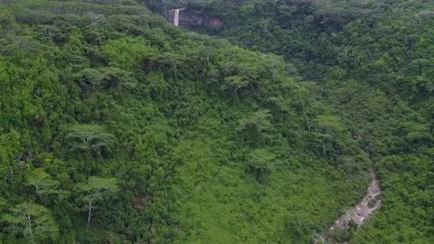 River flowing in the Jungle Stock Footage 147937742