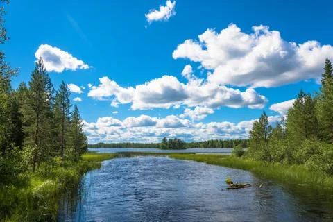 The river flowing into the lake. Stock Photos