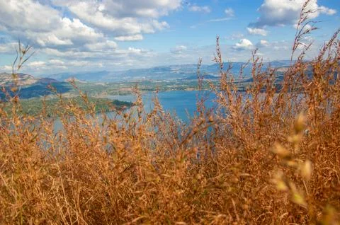 River flowing in middle of hills 스톡 사진