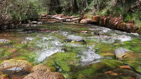 A River Flowing with Mossy Rocks Stock Footage 89591396