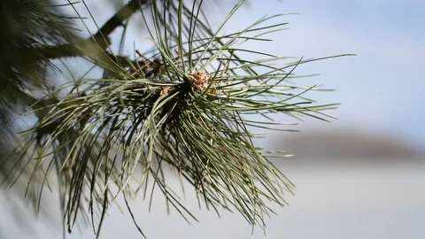 River Flowing In The Mountains Stock Footage 88371735