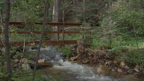 River flowing in Mountains Slow Motion Long Shot Stock Footage 207953768
