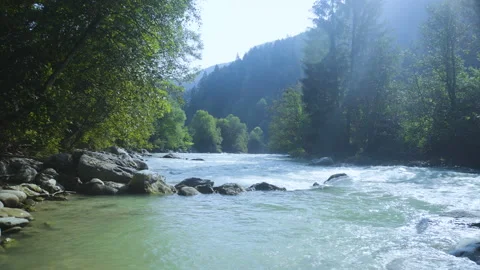 River Flowing / Nature / 4K Stock Footage 143649235