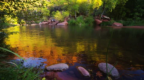 River flowing. Nature background Vidéo 46231205