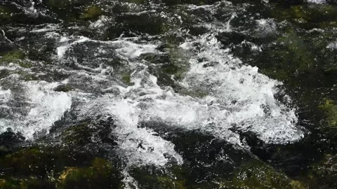 River flowing in nature. Cascade on mountain river. Stock Footage 311803973
