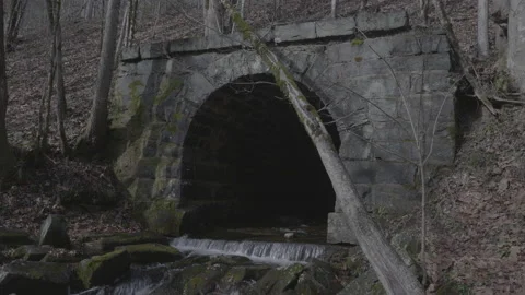 River flowing out of an old cobblestone tunnel with a tree leaning on it. Stock Footage 168215509