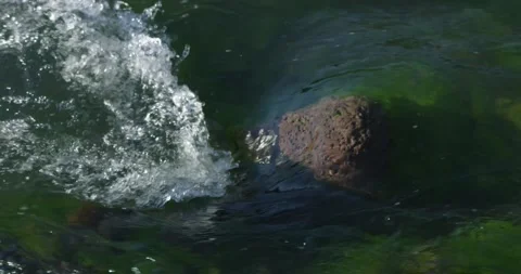 River flowing over a boulder Stock Footage 172531199