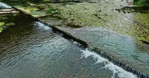 River Flowing Over Concrete Step Symmetry Still Life Algae Leaves Natural Swamp Video stock 300444962