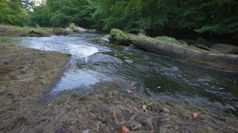 River flowing over damp land. Stock Footage 158334595