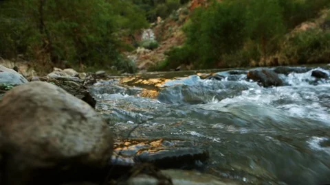River flowing over rocks and boulders. Stock Footage 88406489