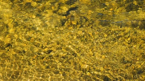 River flowing over rocks and pebbles in shallow water Stock Footage 128265692