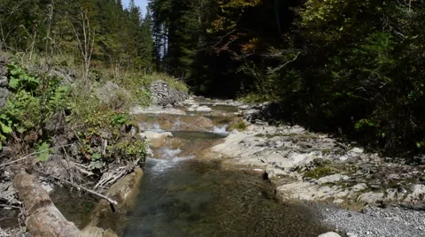 River flowing over rocks in a beautiful forest Video stock 43309090