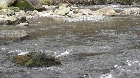 River flowing over rocks Stock Footage 49639949